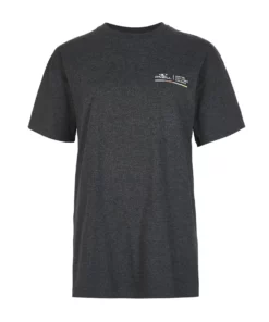 O'Neill Snsc Loose Womens Short Sleeve T-Shirt